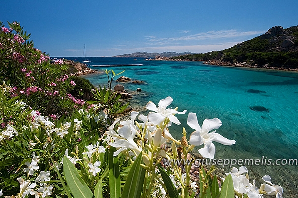 La Maddalena - Cala Lunga (40D_9910_2rid).jpg